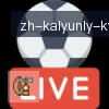 开云 logo
