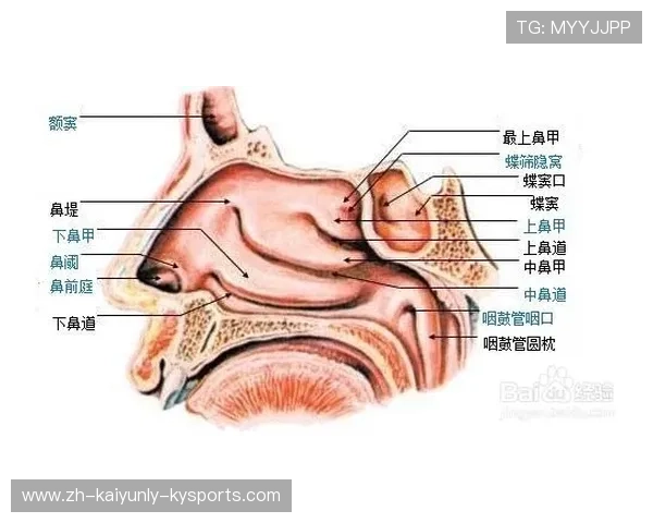 鼻腔适应力测试：判断你是否适合带鼻炎冬泳